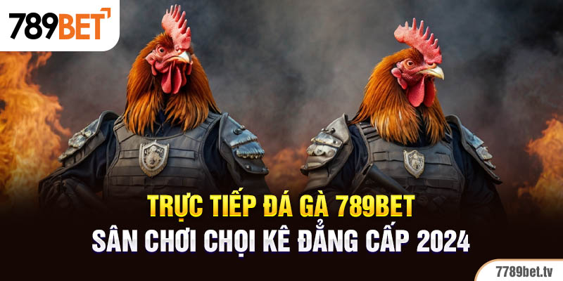 Đôi nét về hình thức trực tiếp đá gà campuchia tại 789BET