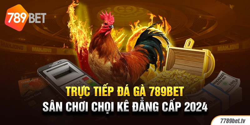 Trực Tiếp Đá Gà 789BET - Sân Chơi Chọi Kê Đẳng Cấp 2024