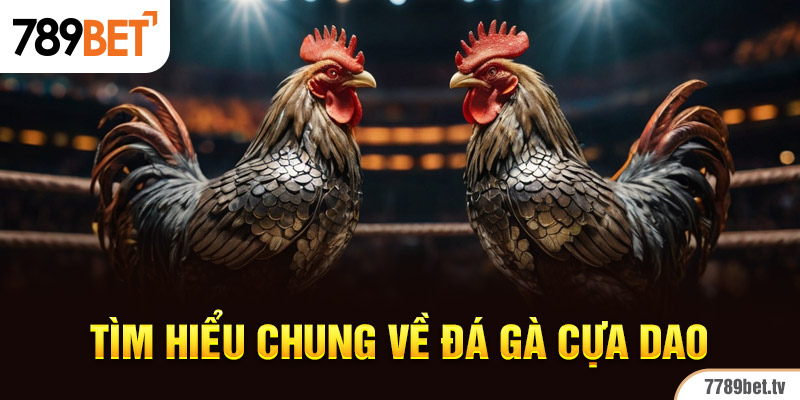 Tìm hiểu chung về đá gà cựa dao