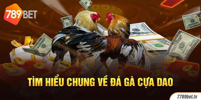 Tìm hiểu chung về đá gà cựa dao