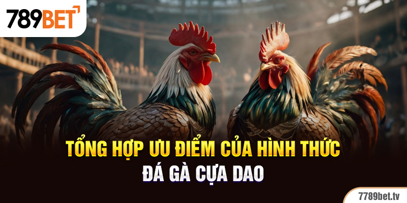 Tổng hợp ưu điểm của hình thức đá gà cựa dao