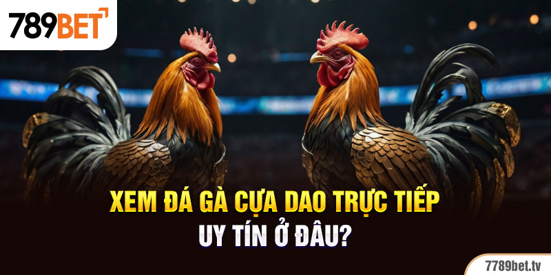 Xem đá gà cựa dao trực tiếp uy tín ở đâu?