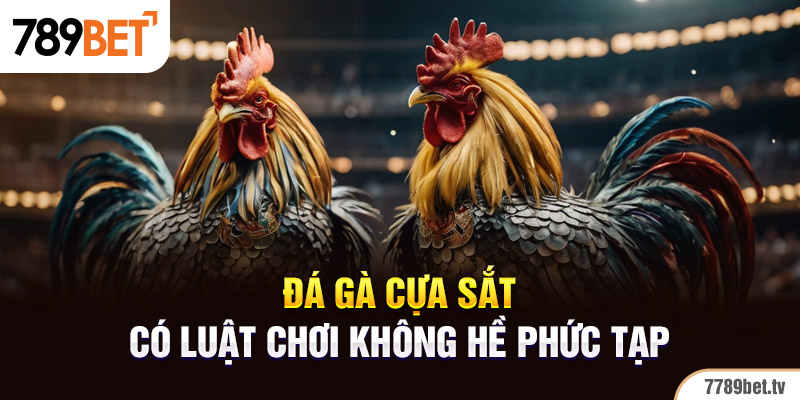 Luật chơi đá gà cựa sắt cho tân thủ 789BET nắm rõ