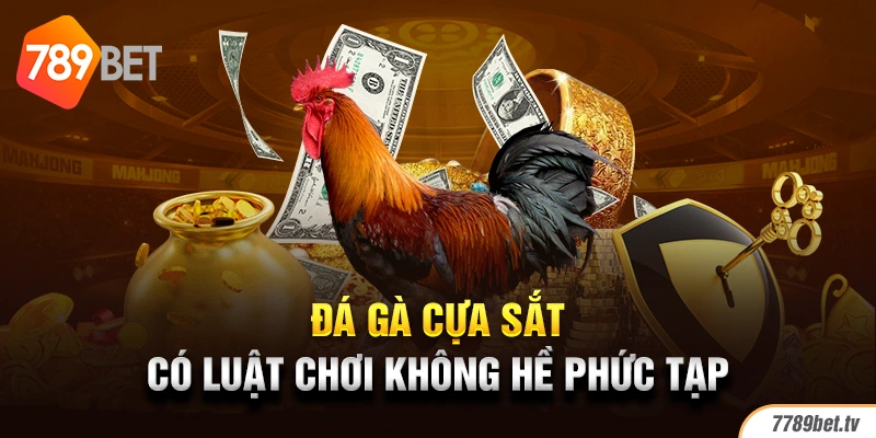 Luật chơi đá gà cựa sắt cho tân thủ 789BET nắm rõ 