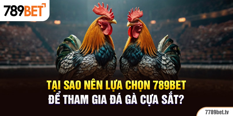 Tại sao nên lựa chọn 789BET để tham gia đá gà cựa sắt?