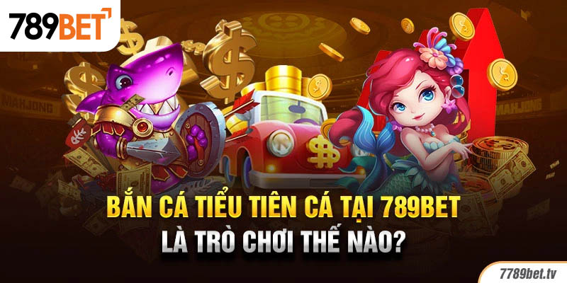 Bắn cá tiểu tiên cá tại 789bet là trò chơi thế nào?