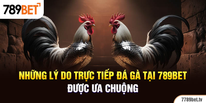 Những lý do trực tiếp đá gà tại 789BET được ưa chuộng