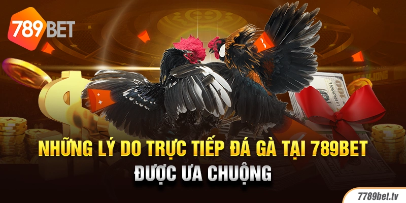 Những lý do trực tiếp đá gà tại 789BET được ưa chuộng