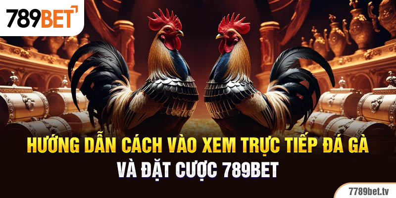 Hướng dẫn cách vào xem trực tiếp đá gà và đặt cược 789BET