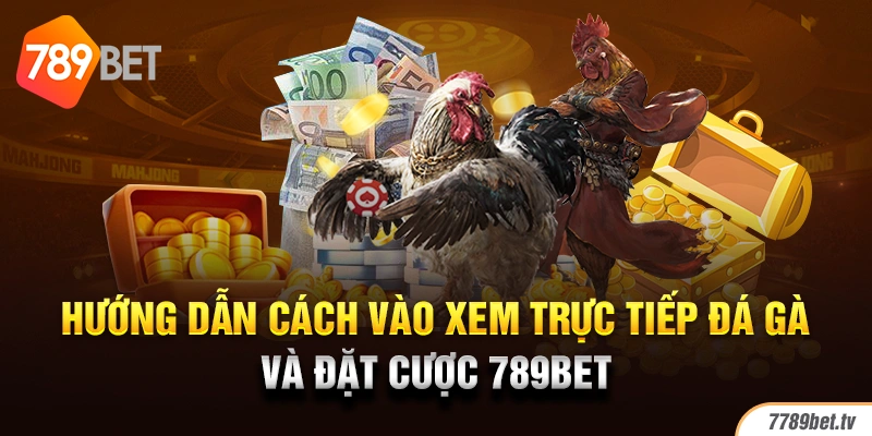 Hướng dẫn cách vào xem trực tiếp đá gà và đặt cược 789BET