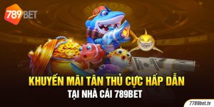 Khuyến Mãi Tân Thủ Cực Hấp Dẫn Tại Nhà Cái 789BET 