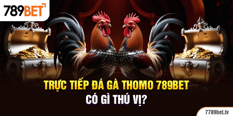 Trực tiếp đá gà Thomo 789BET có gì thú vị?