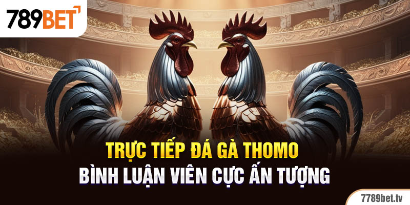 Trực tiếp đá gà Thomo bình luận viên cực ấn tượng