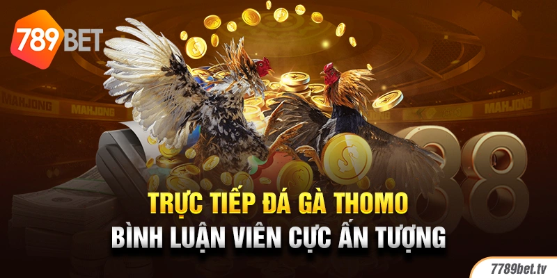 Trực tiếp đá gà Thomo bình luận viên cực ấn tượng